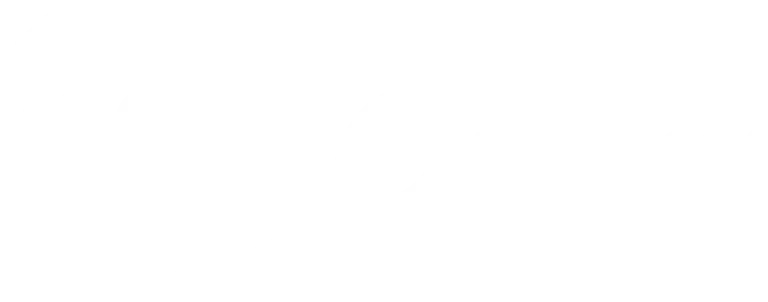 101 Customs Logo
