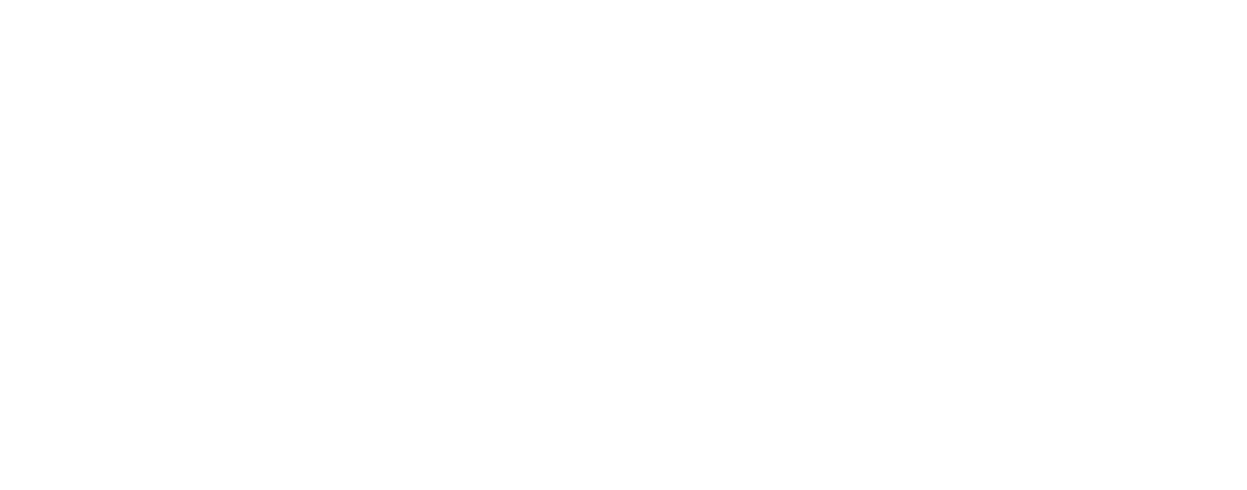 101 Customs Logo